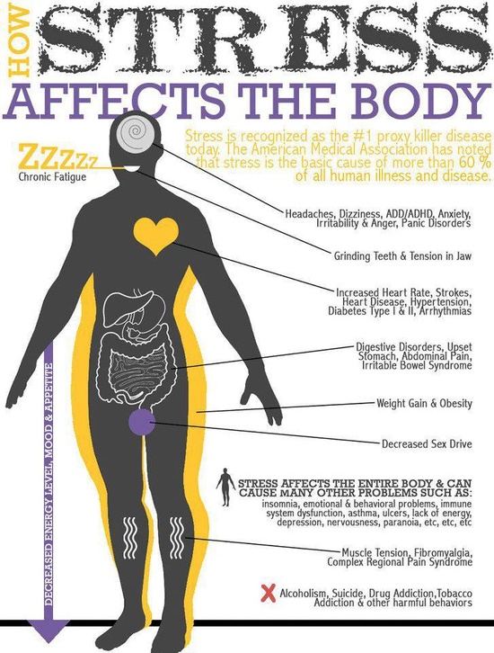 Stress affects the body