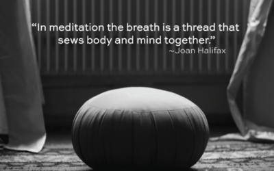 A physiological perspective: How meditation & yoga aid with therapy