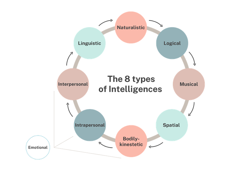 What’s your Particular Brand of Intellegence?